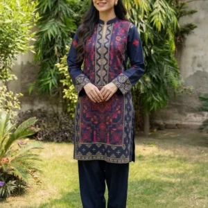 Dhanak Embroidered 2-Piece Stitched Suit – Blue by Suzain's Pret